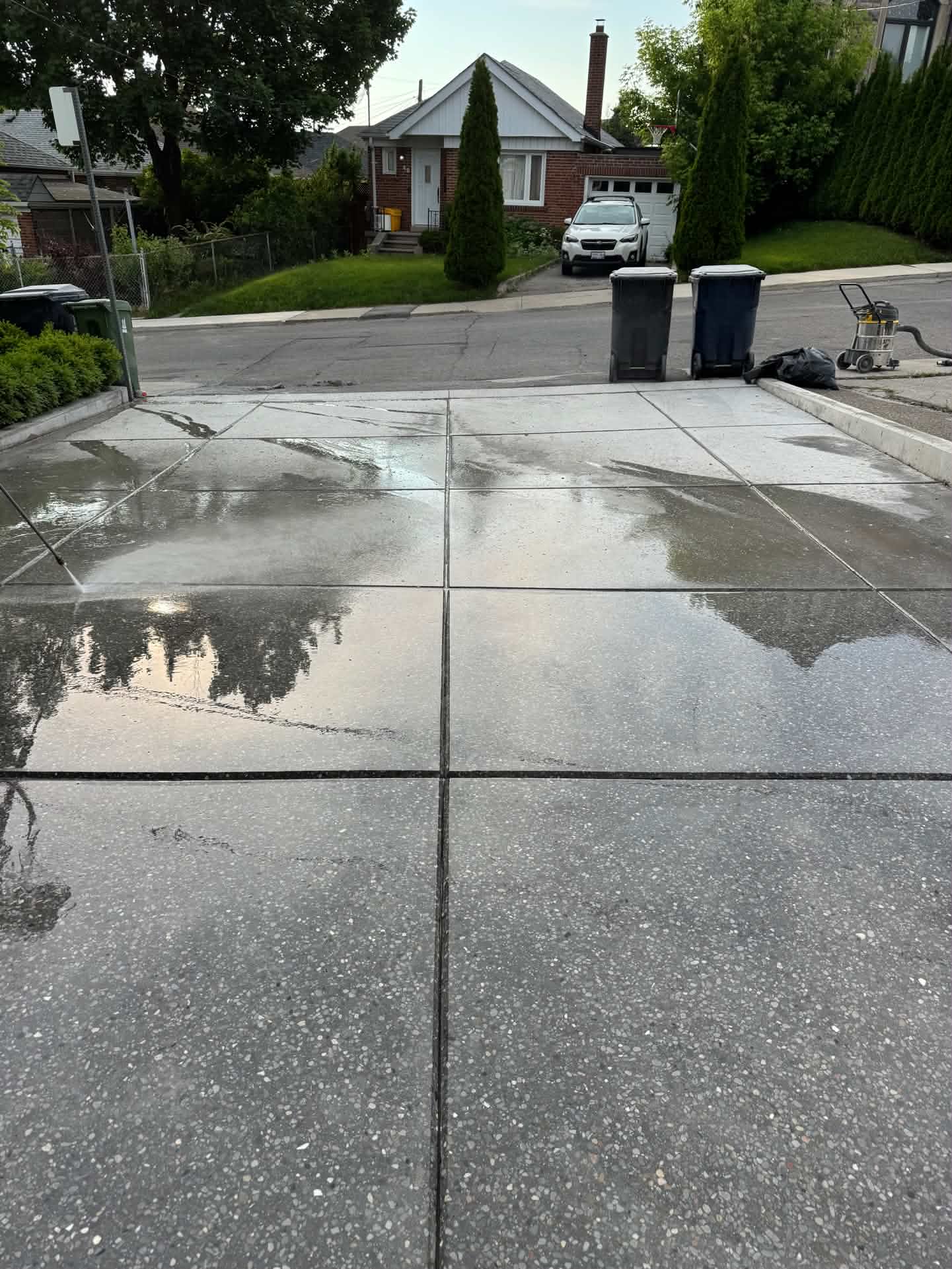 concrete polishing service